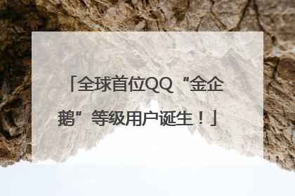 全球首位QQ“金企鹅”等级用户诞生！