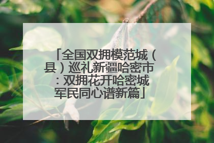 全国双拥模范城（县）巡礼新疆哈密市：双拥花开哈密城 军民同心谱新篇