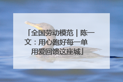 全国劳动模范｜陈一文：用心跑好每一单 用爱回馈这座城