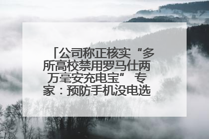 公司称正核实“多所高校禁用罗马仕两万毫安充电宝” 专家：预防手机没电选中等体积产品即可