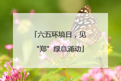 六五环境日，见“郑”绿意涌动