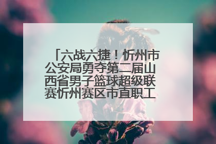六战六捷！忻州市公安局勇夺第二届山西省男子篮球超级联赛忻州赛区市直职工组比赛冠军