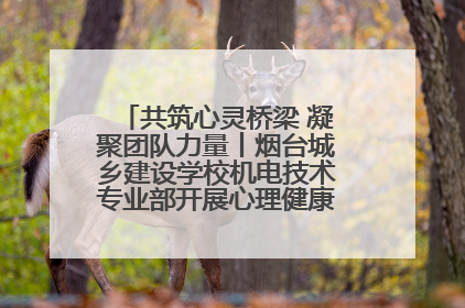 共筑心灵桥梁 凝聚团队力量丨烟台城乡建设学校机电技术专业部开展心理健康讲座及团辅活动