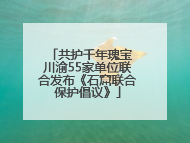 共护千年瑰宝 川渝55家单位联合发布《石窟联合保护倡议》