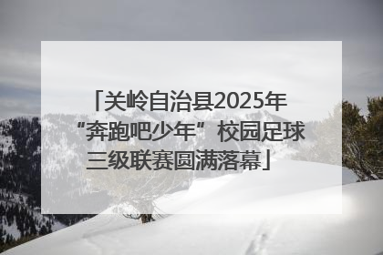 关岭自治县2025年“奔跑吧少年”校园足球三级联赛圆满落幕