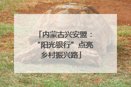 内蒙古兴安盟：“阳光银行”点亮乡村振兴路
