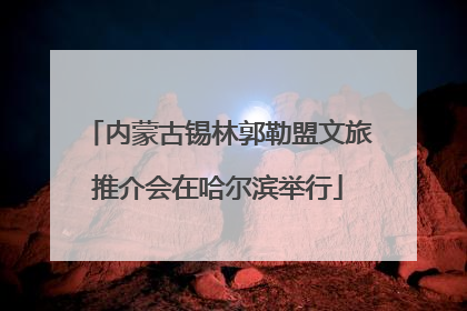内蒙古锡林郭勒盟文旅推介会在哈尔滨举行