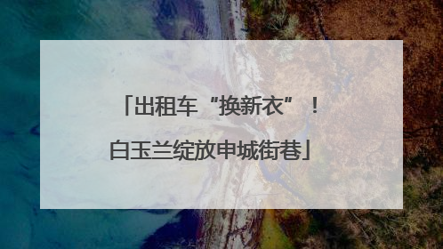 出租车“换新衣”！白玉兰绽放申城街巷