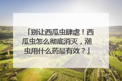 别让西瓜虫肆虐！西瓜虫怎么彻底消灭，潮虫用什么药最有效？