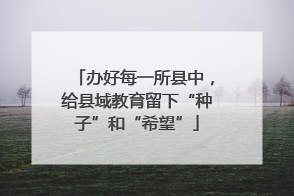 办好每一所县中，给县域教育留下“种子”和“希望”