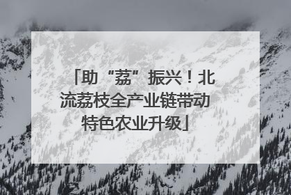 助“荔”振兴！北流荔枝全产业链带动特色农业升级