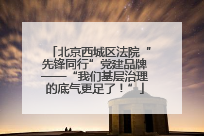 北京西城区法院“先锋同行”党建品牌——“我们基层治理的底气更足了！”