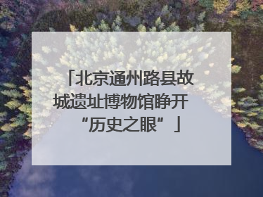 北京通州路县故城遗址博物馆睁开“历史之眼”