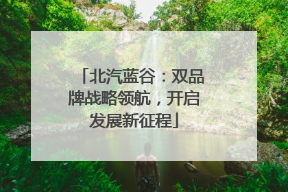 北汽蓝谷：双品牌战略领航，开启发展新征程