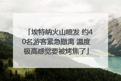 埃特纳火山喷发 约40名游客紧急撤离 温度极高感觉要被烤焦了