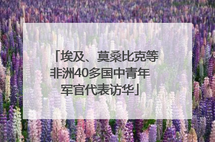 埃及、莫桑比克等非洲40多国中青年军官代表访华