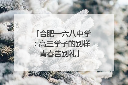 合肥一六八中学：高三学子的别样青春告别礼