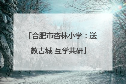 合肥市杏林小学：送教古城 互学共研