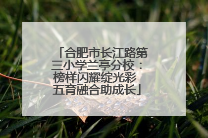 合肥市长江路第三小学兰亭分校：榜样闪耀绽光彩 五育融合助成长