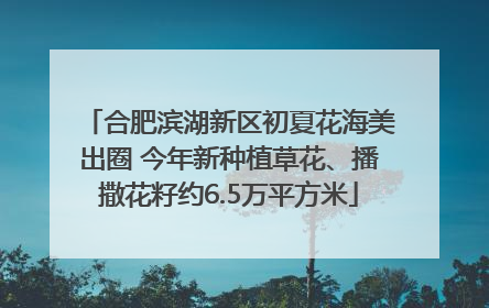 合肥滨湖新区初夏花海美出圈 今年新种植草花、播撒花籽约6.5万平方米