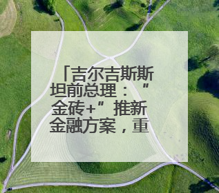 吉尔吉斯斯坦前总理：“金砖+”推新金融方案，重塑国际合作
