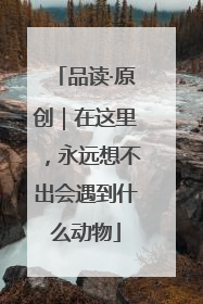 品读·原创｜在这里，永远想不出会遇到什么动物