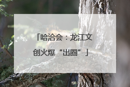哈洽会：龙江文创火爆“出圈”
