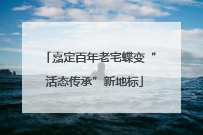 嘉定百年老宅蝶变“活态传承”新地标