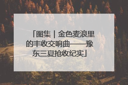 图集｜金色麦浪里的丰收交响曲——豫东三夏抢收纪实