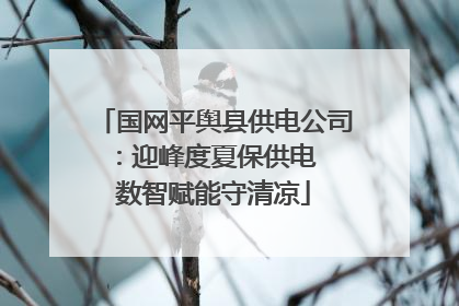 国网平舆县供电公司：迎峰度夏保供电  数智赋能守清凉