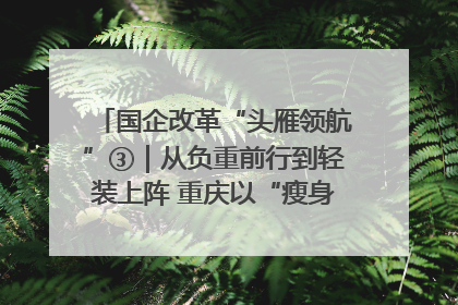 国企改革“头雁领航”③｜从负重前行到轻装上阵 重庆以“瘦身”谋“健体”