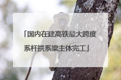 国内在建高铁最大跨度系杆拱系梁主体完工