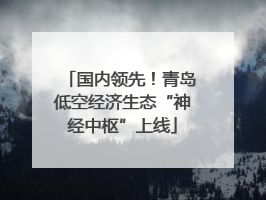 国内领先！青岛低空经济生态“神经中枢”上线