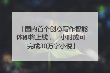 国内首个创意写作智能体即将上线，一小时或可完成30万字小说
