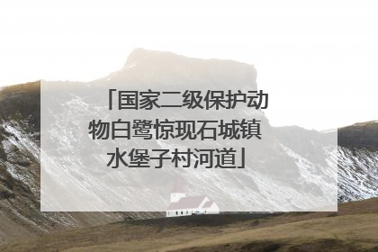 国家二级保护动物白鹭惊现石城镇水堡子村河道