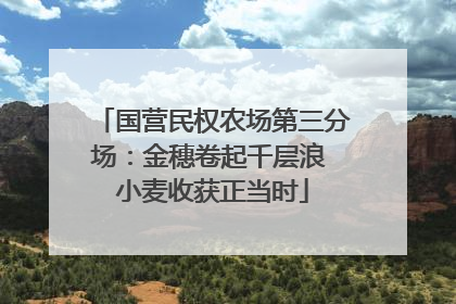 国营民权农场第三分场：金穗卷起千层浪 小麦收获正当时