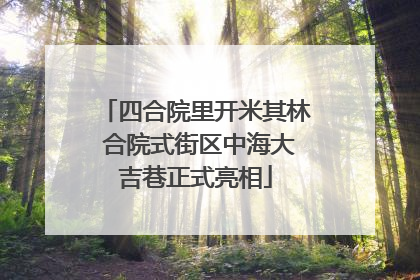四合院里开米其林 合院式街区中海大吉巷正式亮相