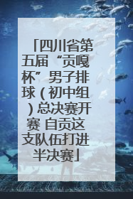 四川省第五届“贡嘎杯”男子排球（初中组）总决赛开赛 自贡这支队伍打进半决赛