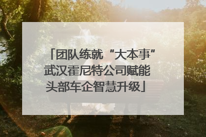 团队练就“大本事” 武汉霍尼特公司赋能头部车企智慧升级