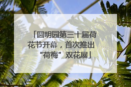 圆明园第三十届荷花节开幕，首次推出“荷梅”双花展