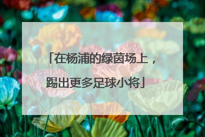 在杨浦的绿茵场上，踢出更多足球小将