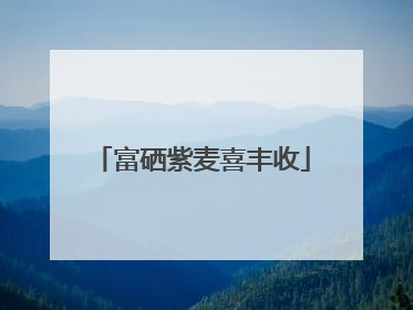 富硒紫麦喜丰收