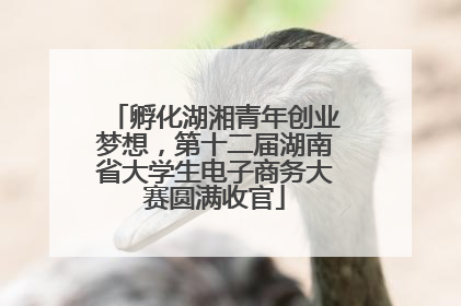孵化湖湘青年创业梦想，第十二届湖南省大学生电子商务大赛圆满收官