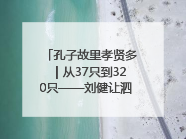 孔子故里孝贤多｜从37只到320只——刘健让泗水裘皮羊重生