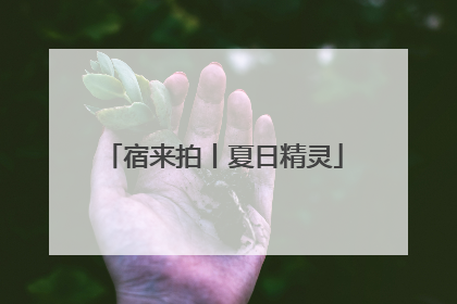 宿来拍丨夏日精灵