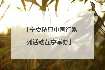 宁夏精品中国行系列活动在京举办