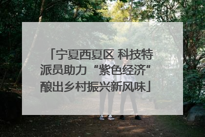 宁夏西夏区 科技特派员助力“紫色经济”酿出乡村振兴新风味