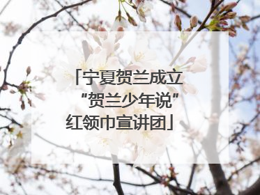宁夏贺兰成立“贺兰少年说”红领巾宣讲团
