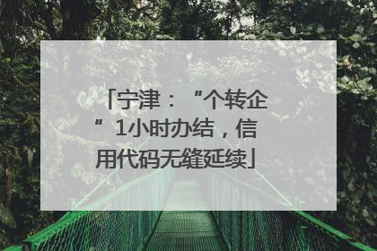 宁津：“个转企”1小时办结，信用代码无缝延续