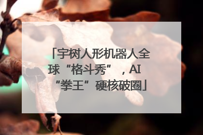 宇树人形机器人全球“格斗秀”，AI“拳王”硬核破圈